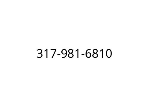 317-981-6810