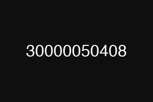 30000050408
