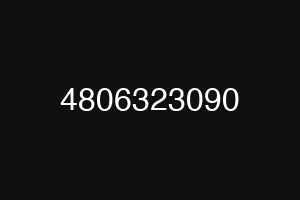 4806323090