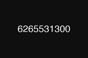 6265531300