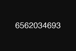 6562034693