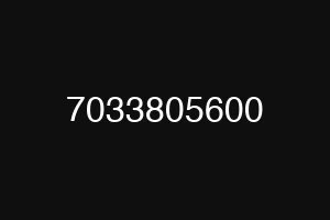 7033805600