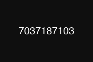 7037187103