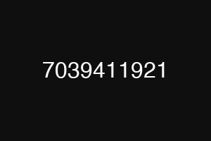 7039411921