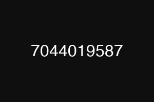 7044019587