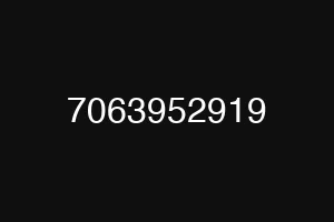 7063952919