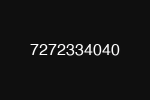7272334040