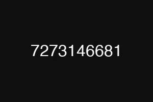 7273146681