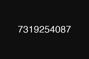 7319254087