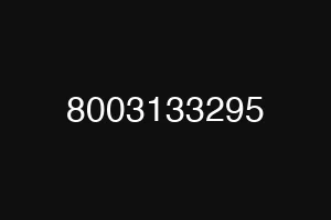 8003133295