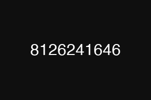 8126241646