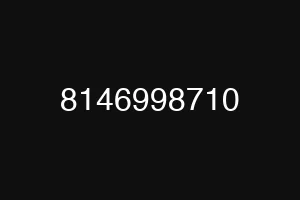 8146998710