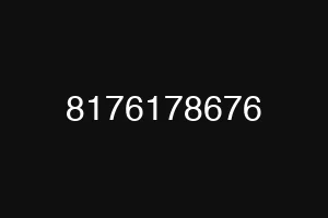 8176178676