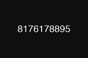 8176178895
