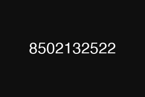 8502132522
