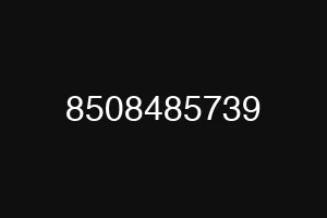 8508485739